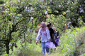 Wisata Petik Apel Langsung dari Kebun di Kota Batu