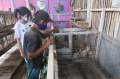 Wisata Taman Kelinci Bambu Apus Kembali Dibuka 