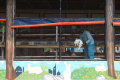 wisata-taman-kelinci-bambu-apus-kembali-dibuka_20220630_193557.jpg