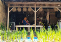 ana Mulyana Hadiri Grand Opening Rumah Makan Pesona Kampung Naga