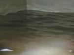 Penyelam_UOB.jpgPenyelam_UOB_2.jpgPenyelam_UOB_3.jpgPenyelam_UOB_4.jpg