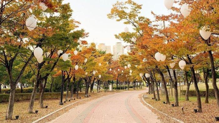 APEC Naru Park, Korea Selatan