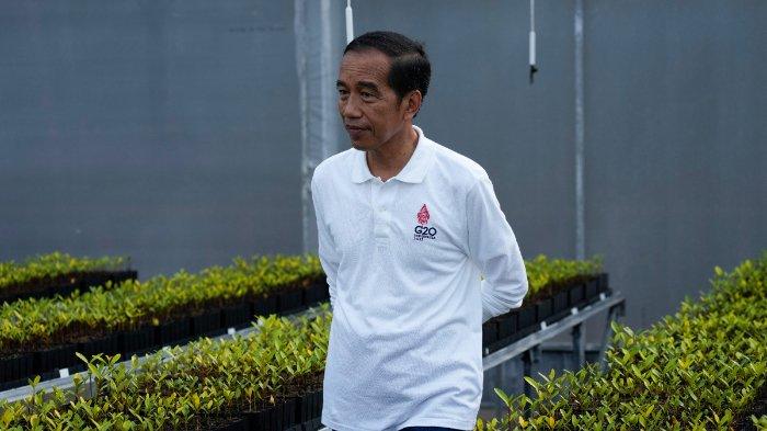 Presiden Indonesia Joko Widodo berjalan melalui pembibitan pohon di Hutan Mangrove Taman Hutan Raya Ngurah Rai, di sela-sela pertemuan KTT G20, di Denpasar, Bali, Indonesia, pada 16 November 2022.