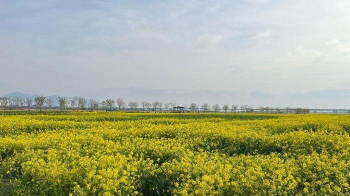 Daejeo Ecological Park Busan
