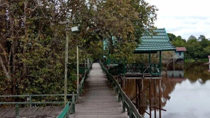 Danau Tahai, Palangka Raya, Kalimantan Tengah.