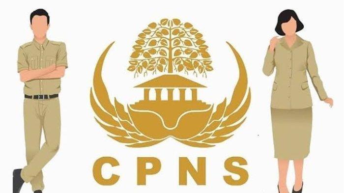 Ilustrasi CPNS 2023.
Cara Cek Hasil Seleksi Administrasi PPPK dan CPNS 2023 Kejaksaan