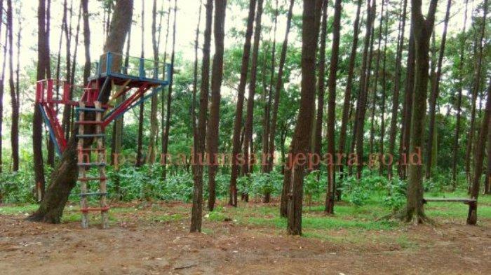 Hutan Wisata Sreni Indah, Jepara, Jawa Tengah.