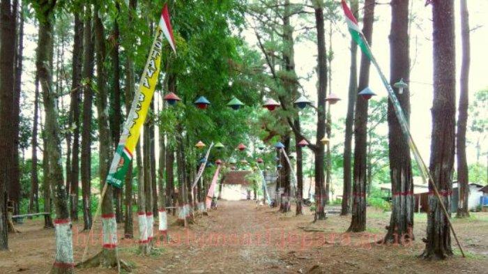 Hutan Wisata Sreni Indah, Jepara, Jawa Tengah.