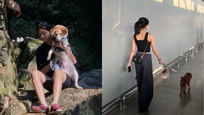 Momen Rashya menghabiskan waktu dengan anjing peliharannya