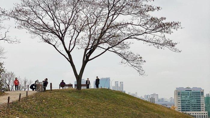 Olympic Park Korea Selatan