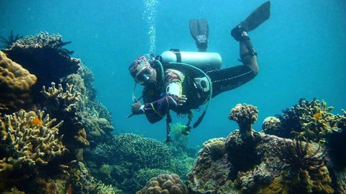 Snorkeling di Pulau Pramuka.