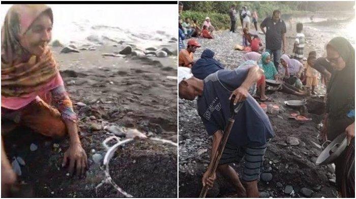Fenomena Penemuan Emas di Pulau Seram Maluku, Hanya Modal Panci Masak, Warga Dapat 10 Gram