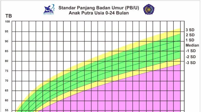 Grafik ukur stunting yang berada di dalam Kartu Tinggi Sehat karya Irdawati, FIK UMS.
