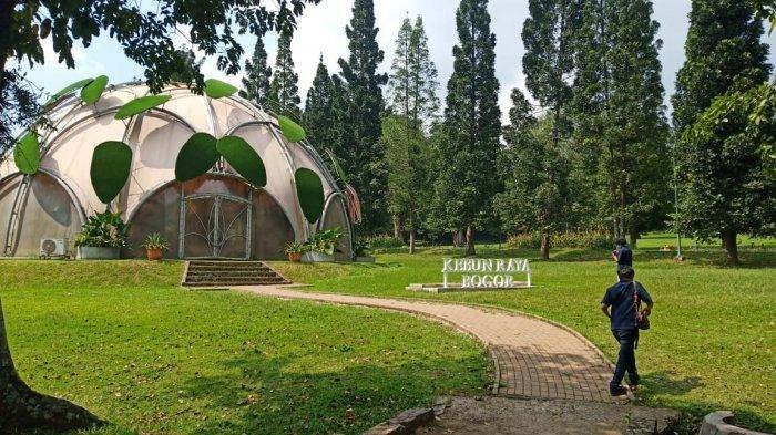 Suasana di dalam Kebun Raya Bogor, Jumat (17/7/2020)
