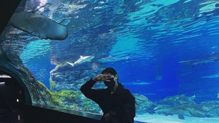 Taman Hiburan Laut Coex Aquarium