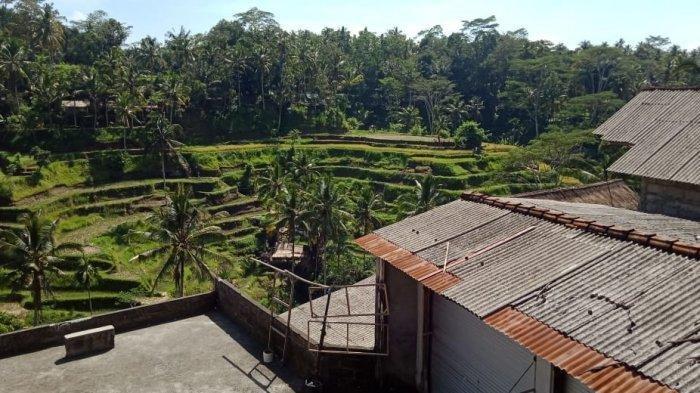 Sejumlah wisatawan menikmati objek wisata Cekingan, Tegalalang, Gianyar, Bali, beberapa waktu lalu. Objek Wisata Terasering Tegalalang Semrawut, Pemkab Gianyar Tawarkan Dua Opsi Pengelolaan Cekingan
