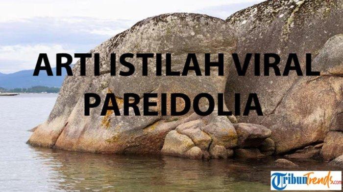 arti istilah viral Pareidolia