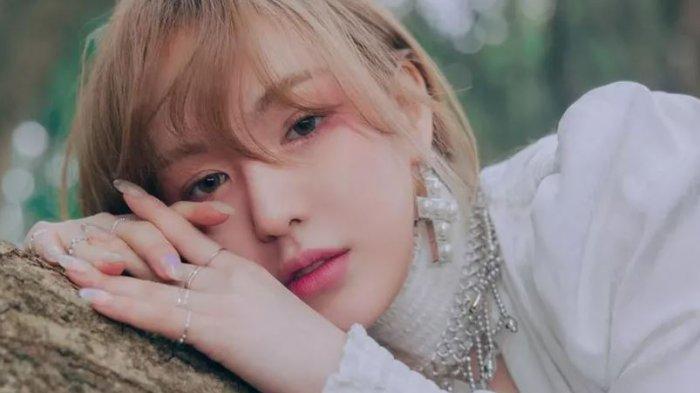 Wendy Red Velvet