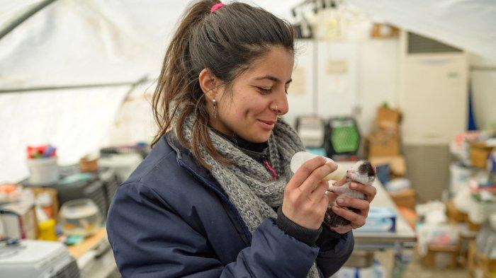 Petek Nur Sezer, seorang sukarelawan untuk LSM lokal Haytap, memberi makan anak kucing di Antakya, selatan Turki, di mana banyak hewan terperangkap di reruntuhan setelah gempa 6 Februari, pada 18 Februari 2023. Gempa berkekuatan 7,8 melanda dekat Gaziantep , Turki, pada dini hari tanggal 6 Februari, diikuti oleh gempa berkekuatan 7,5 setelah tengah hari. Gempa tersebut menyebabkan kerusakan luas di Turki selatan dan Suriah utara dan telah menewaskan lebih dari 40.000 orang