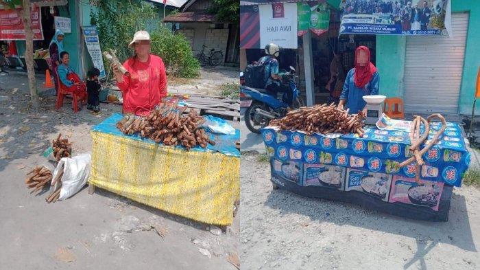 Bajakah Dieksploitasi1