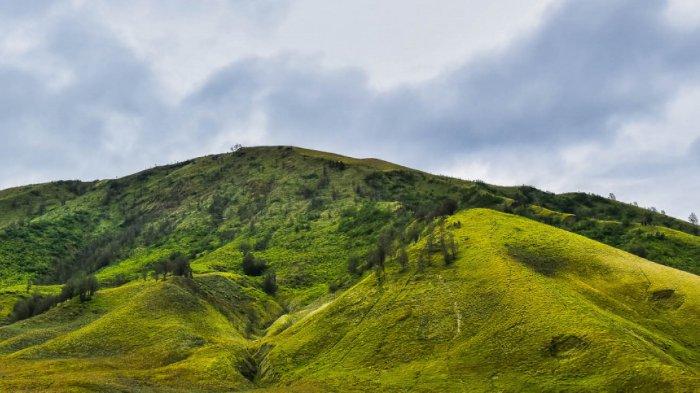 bromo1