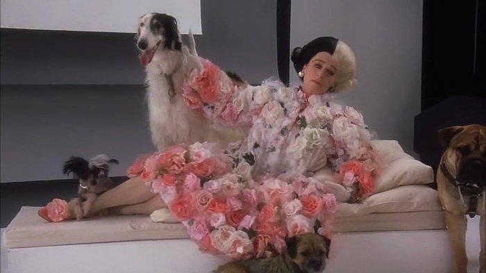 cruella dv