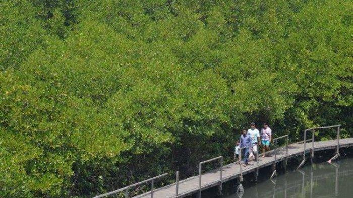 Ekowisata Mangrove Penajam  4
