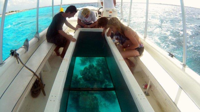 Glass Bottom Boat