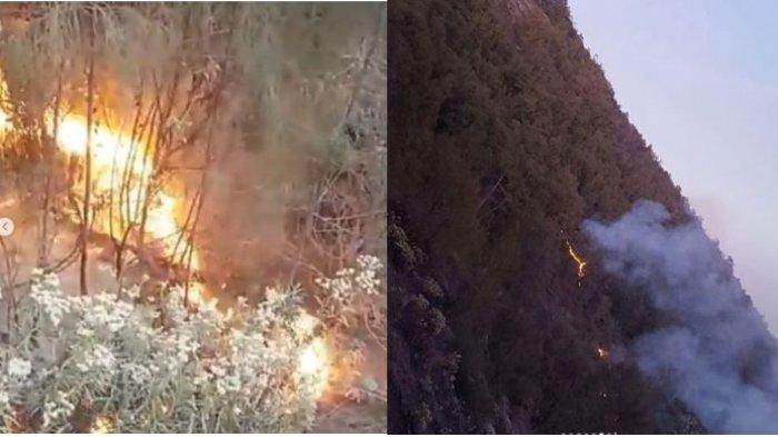 Gung Semeru Terbakar 2