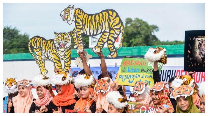 Hari Harimau Sedunia6