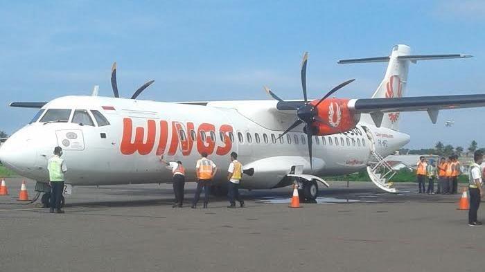 Ilustrasi pesawat Wings Air