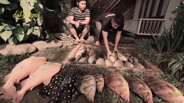 Puluhan ikan mahal milik Irfan Hakim mati, karena kecerobohan karyawannya.