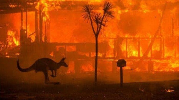 kebakaran hutan di Australia