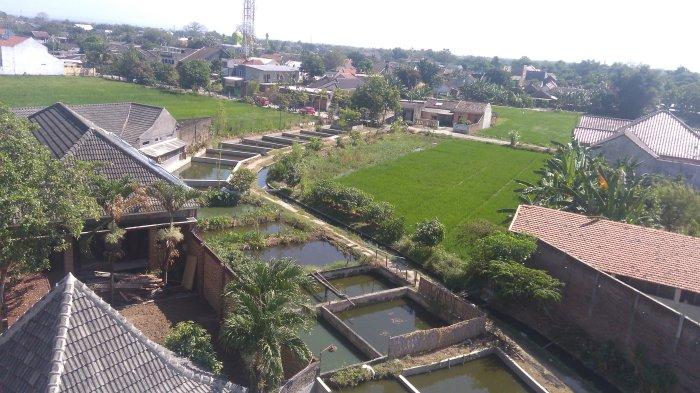 Kolam Ikan dan Persawahan
