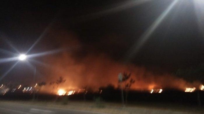 Lahan di sekitar Bandara Kertajati terbakar
