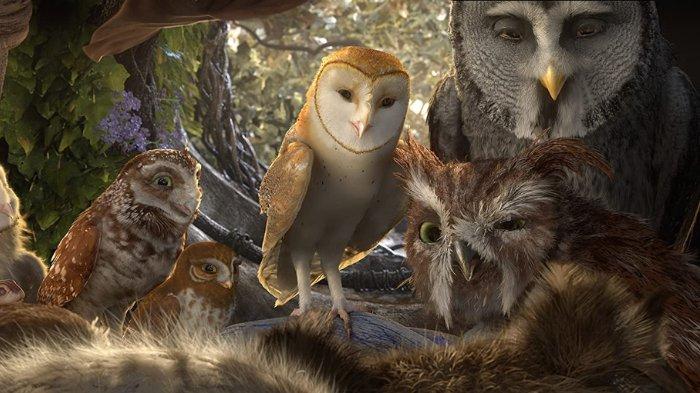 Legend of the Guardians: The Owls of Ga Hoole