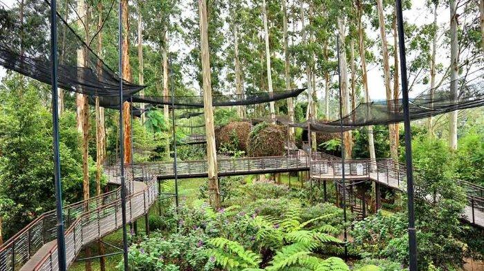 Lutung Kasarung Area Dusun Bambu