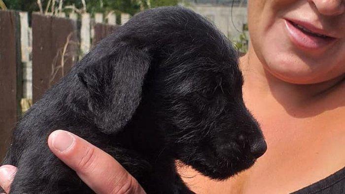 Molly and Susan Paterson