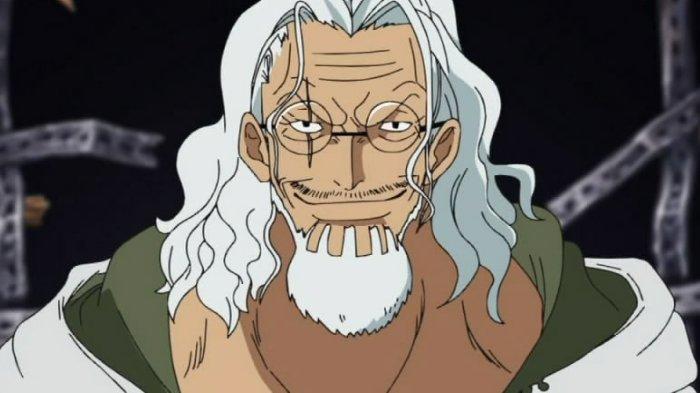 Silvers Rayleigh di One Piece