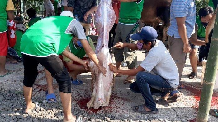 pemotongan hewan kurban di pinggir rel kereta api