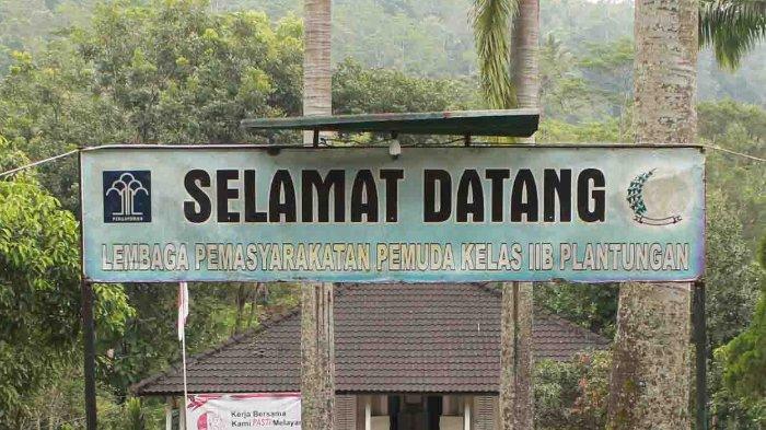 Plantungan Kendal 23