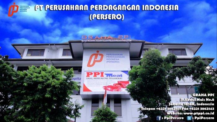 pt ppi