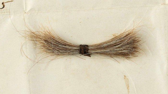 Seikat rambut Abraham Lincoln