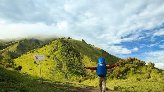 Sabana Merbabu