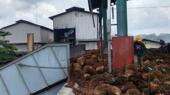 Salah satu industri kelapa sawit di Kecamatan Babulu, Kabupaten Penajam Paser Utara