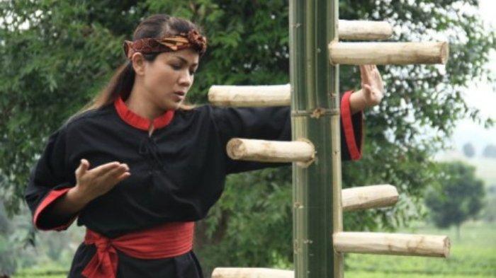 Shy Shy Cat 2016 DHJS