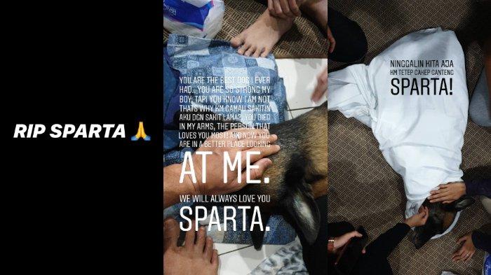 Sparta meninggal pada Senin (28/10/2019)