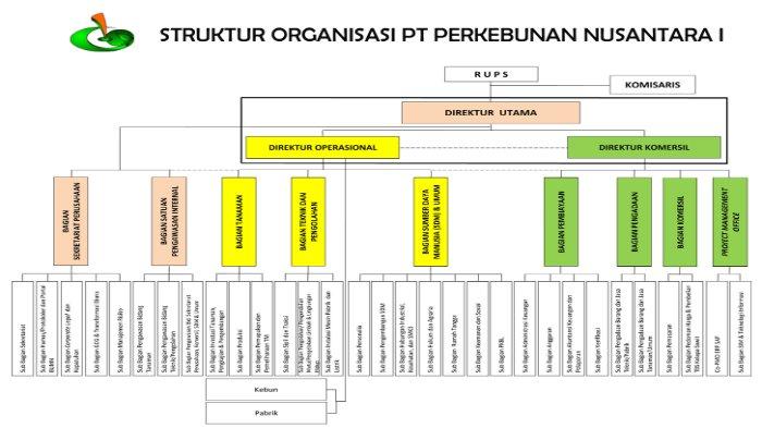 struktu ptptm