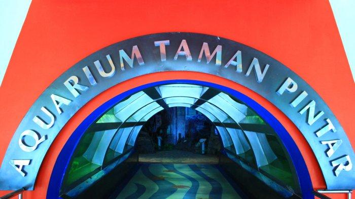 taman pintar aquarium