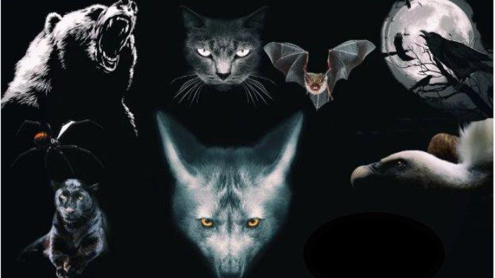 Tes Kepribadian 24723